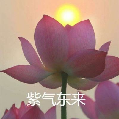 勇士之战游戏下载